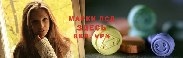 СК Тайга